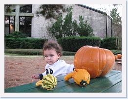 October - Halloween - Pumkin Patch - (2) * 3648 x 2736 * (6.95MB)